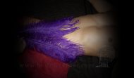 Sensual massage with feathers