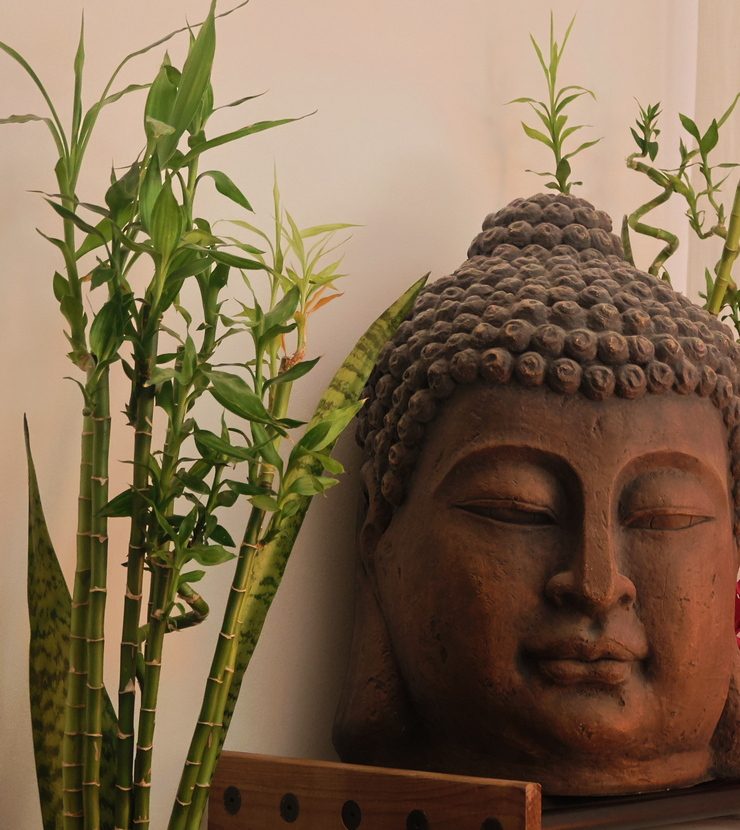 The Buddha, bamboo and bougainvillea in the treatment room